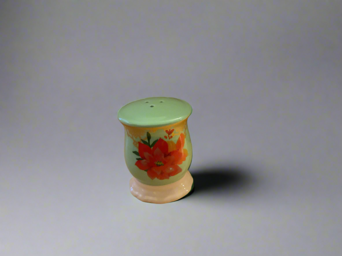Salt a pepper shaker set